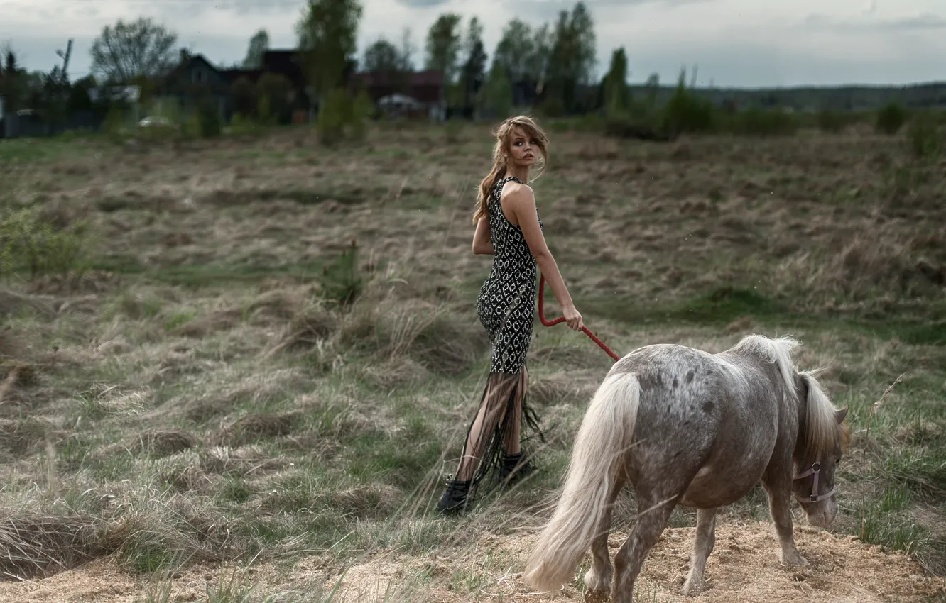 Фото обои пони, лошадка, Настя, Анастасия Щеглова, Tatiana Mercalova