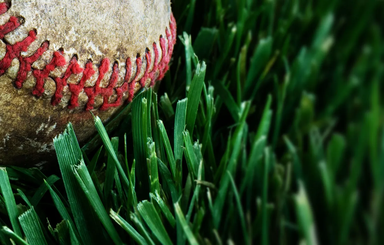 Фото обои трава, газон, бейсбольный мяч