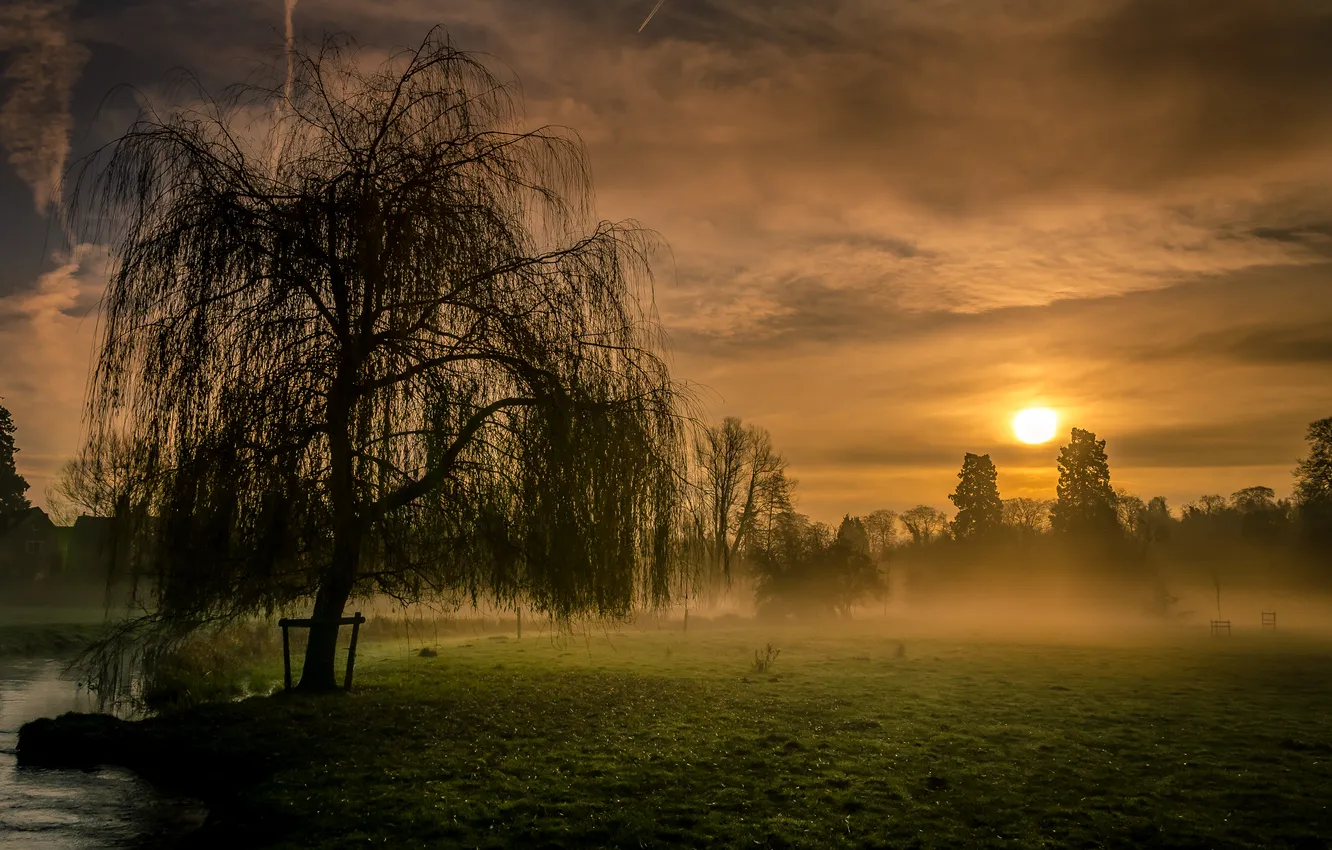 Фото обои поле, закат, туман
