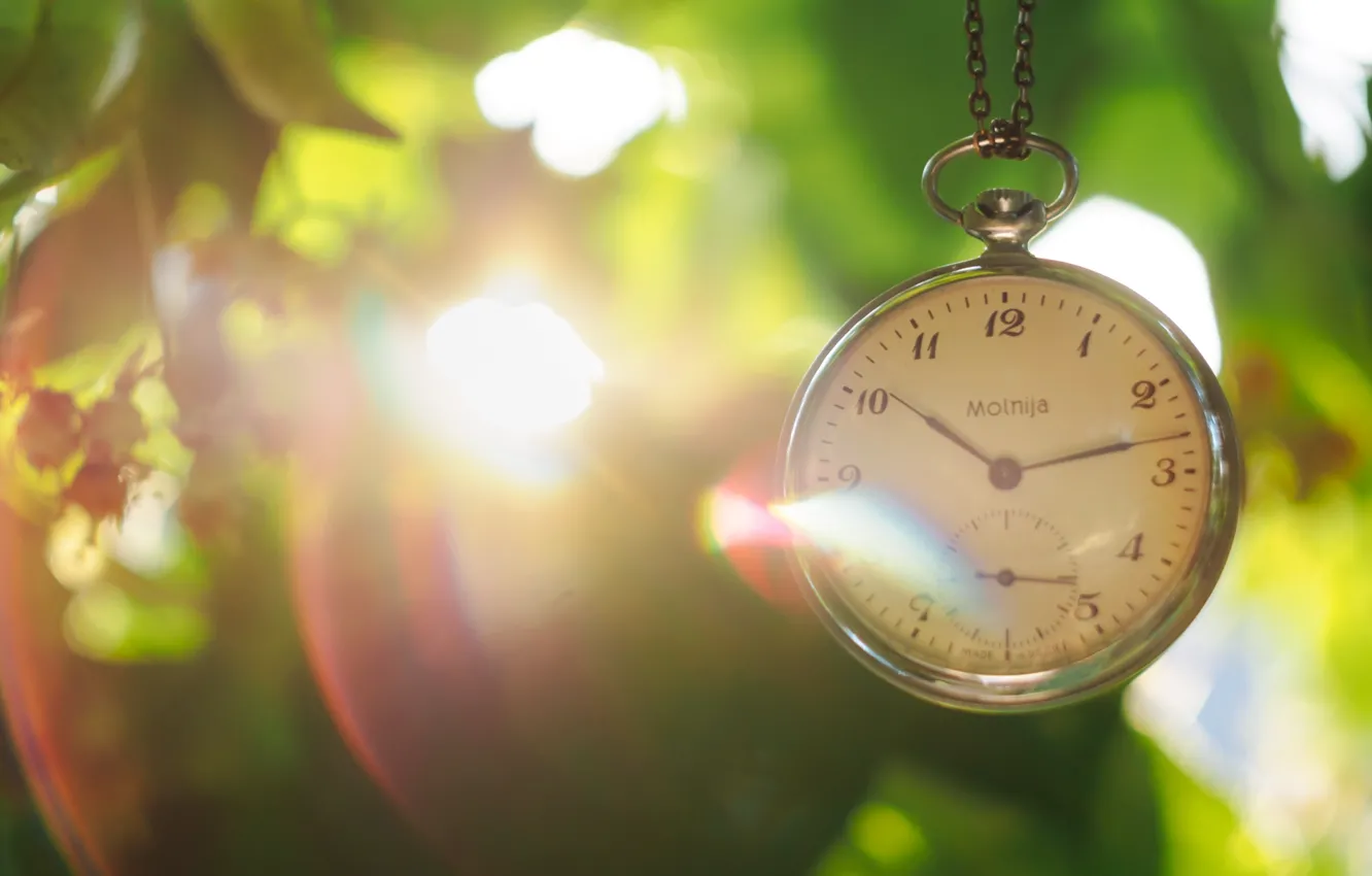 Фото обои листья, солнце, часы, циферблат, цепочка