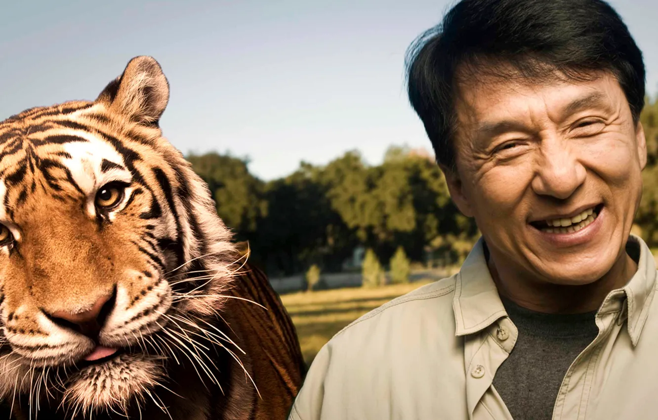 Фото обои радость, тигр, улыбка, хищник, актер, знаменитость, режиссер, Джеки Чан