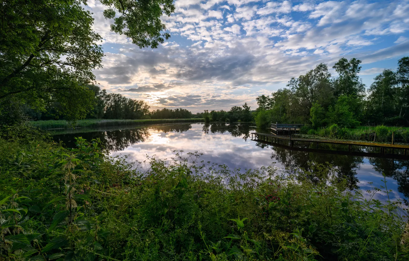 Фото обои лето, облака, деревья, речка