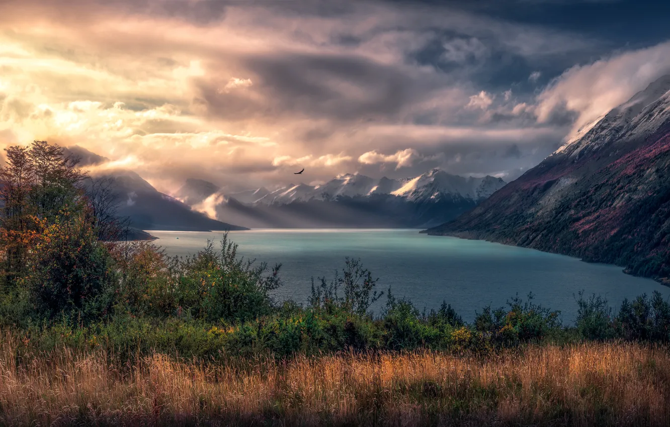 Фото обои осень, трава, свет, горы, туман, озеро, птица, вершины