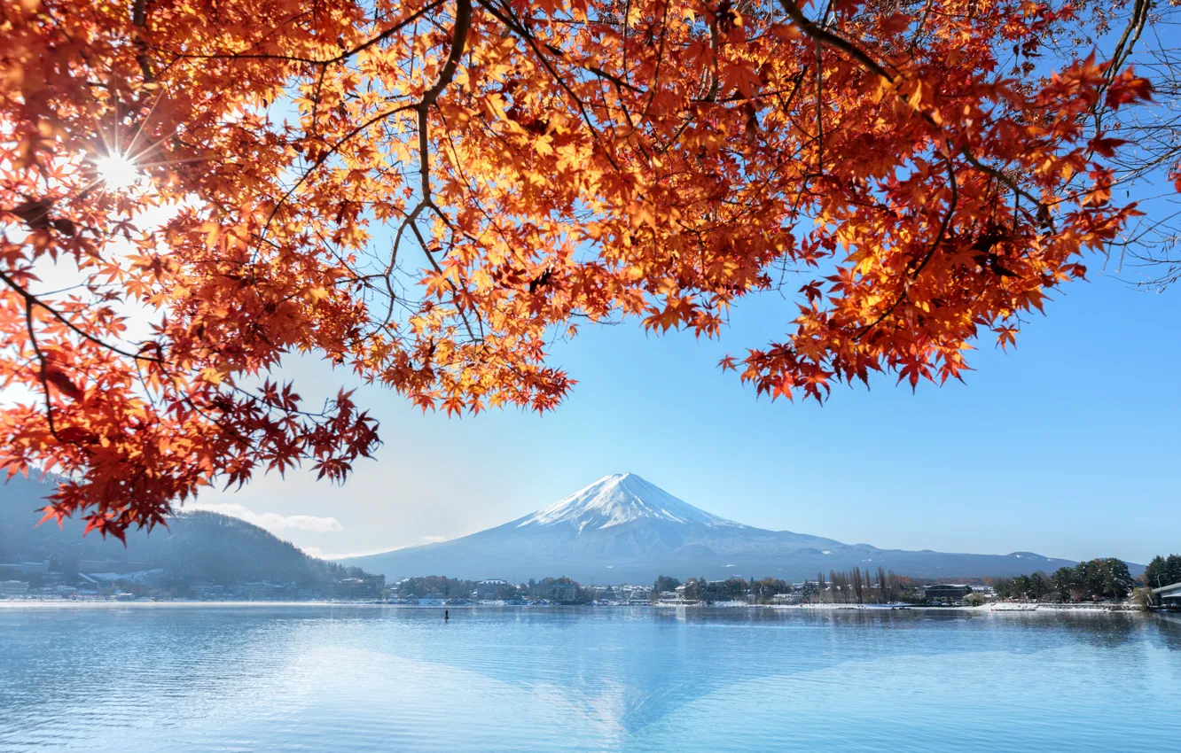 Фото обои осень, небо, листья, colorful, Япония, Japan, red, клен