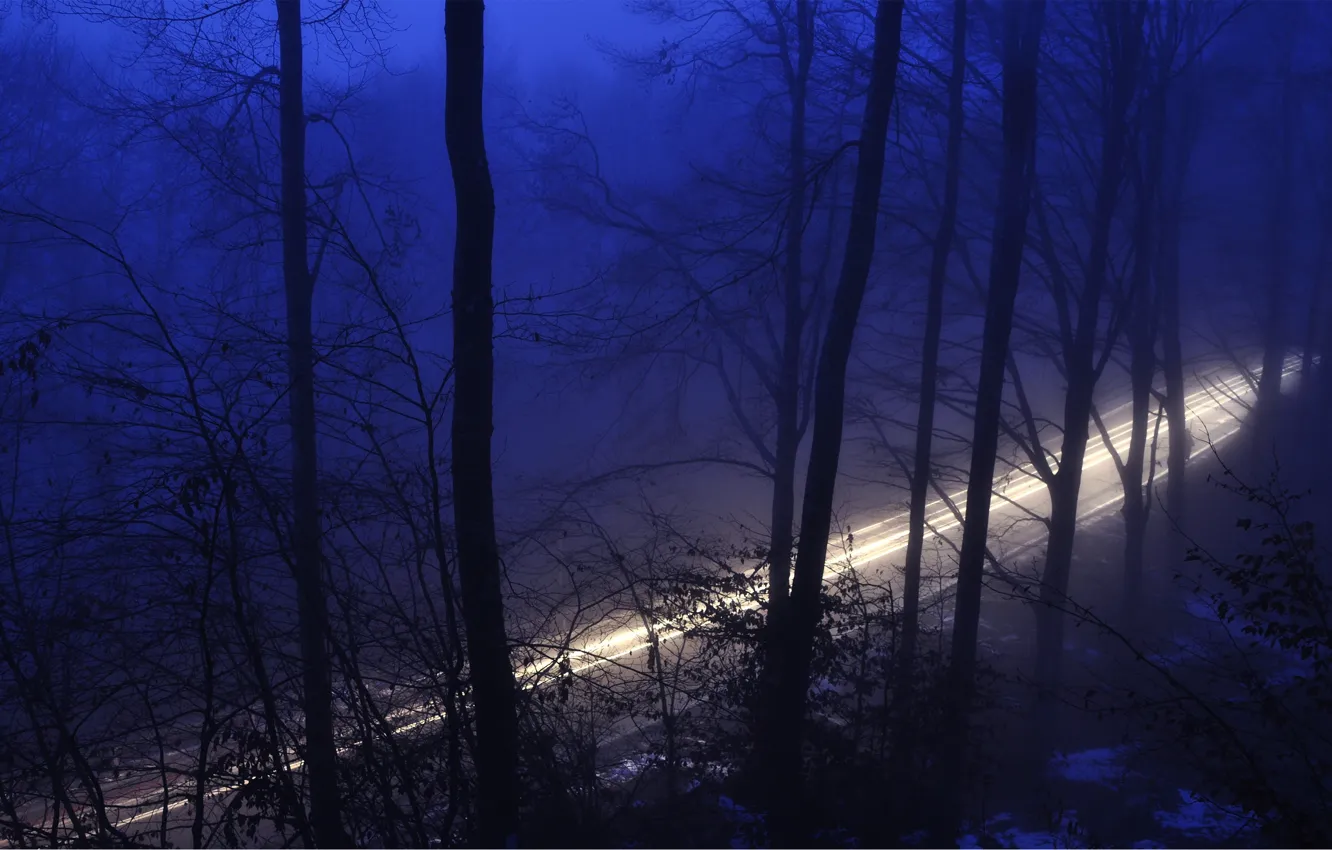 Фото обои дорога, лес, свет, деревья, ночь, природа