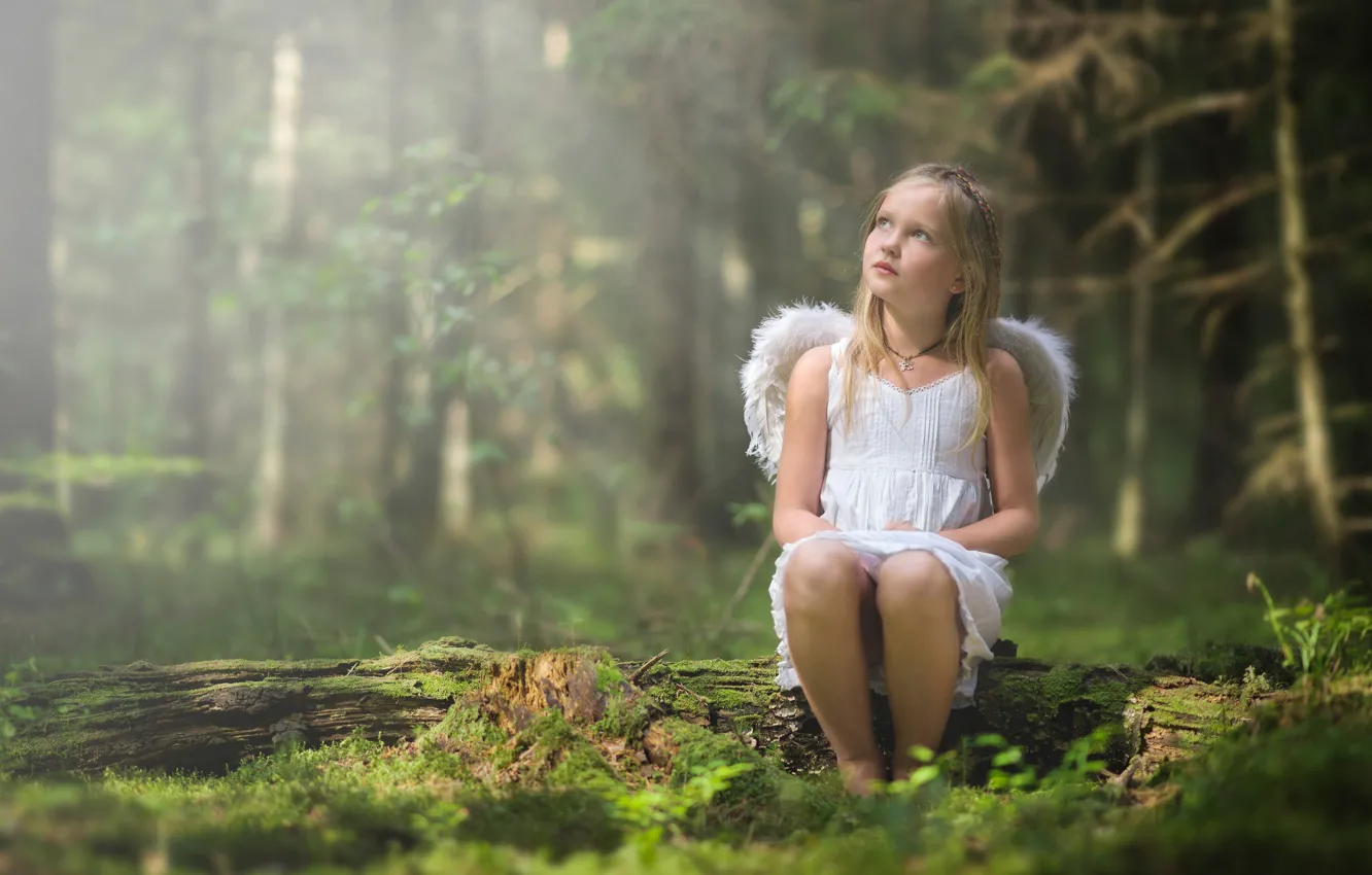 Фото обои лес, крылья, ангел, девочка