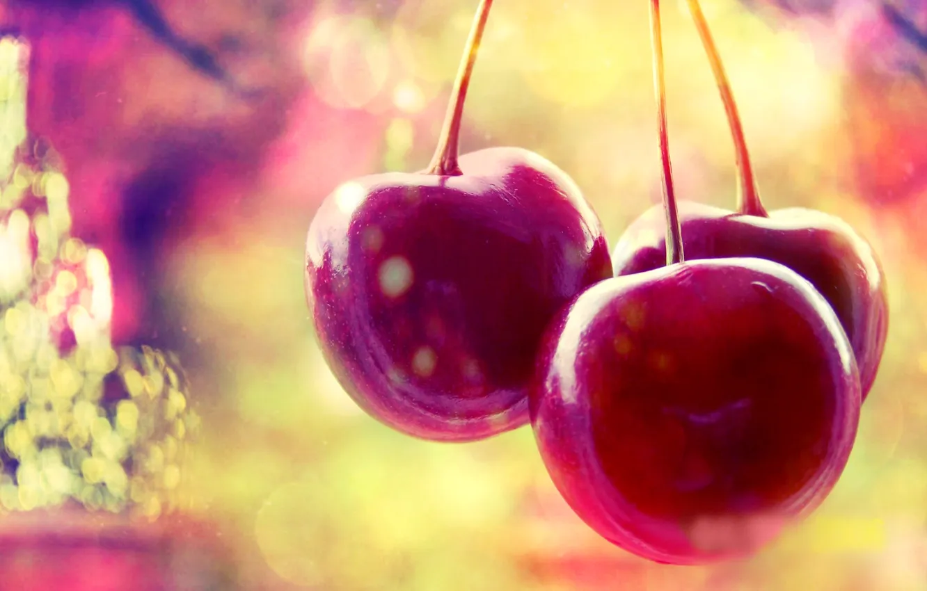 Фото обои вишня, ягоды, черешня, cherry