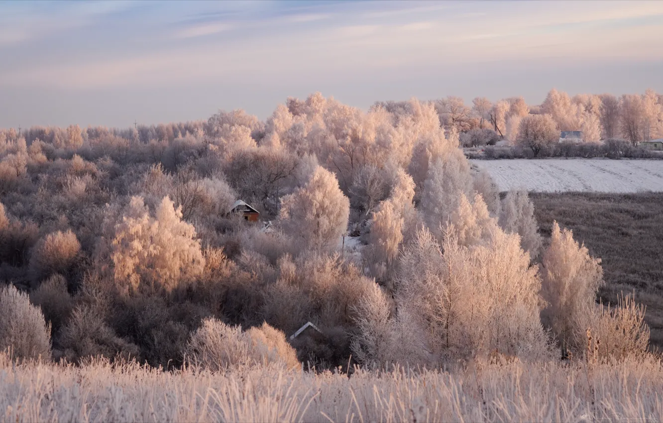Фото обои зима, иней, поле, деревья, пейзаж, природа, дом, кусты