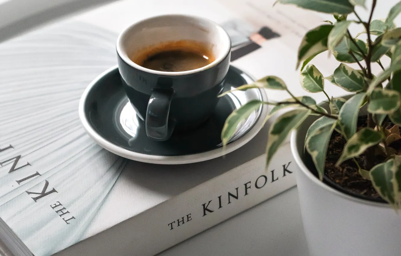 Фото обои растение, кофе, чашка, книга