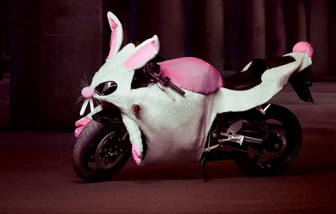 Фото обои юмор, кролик, мотоцикл, Костюм