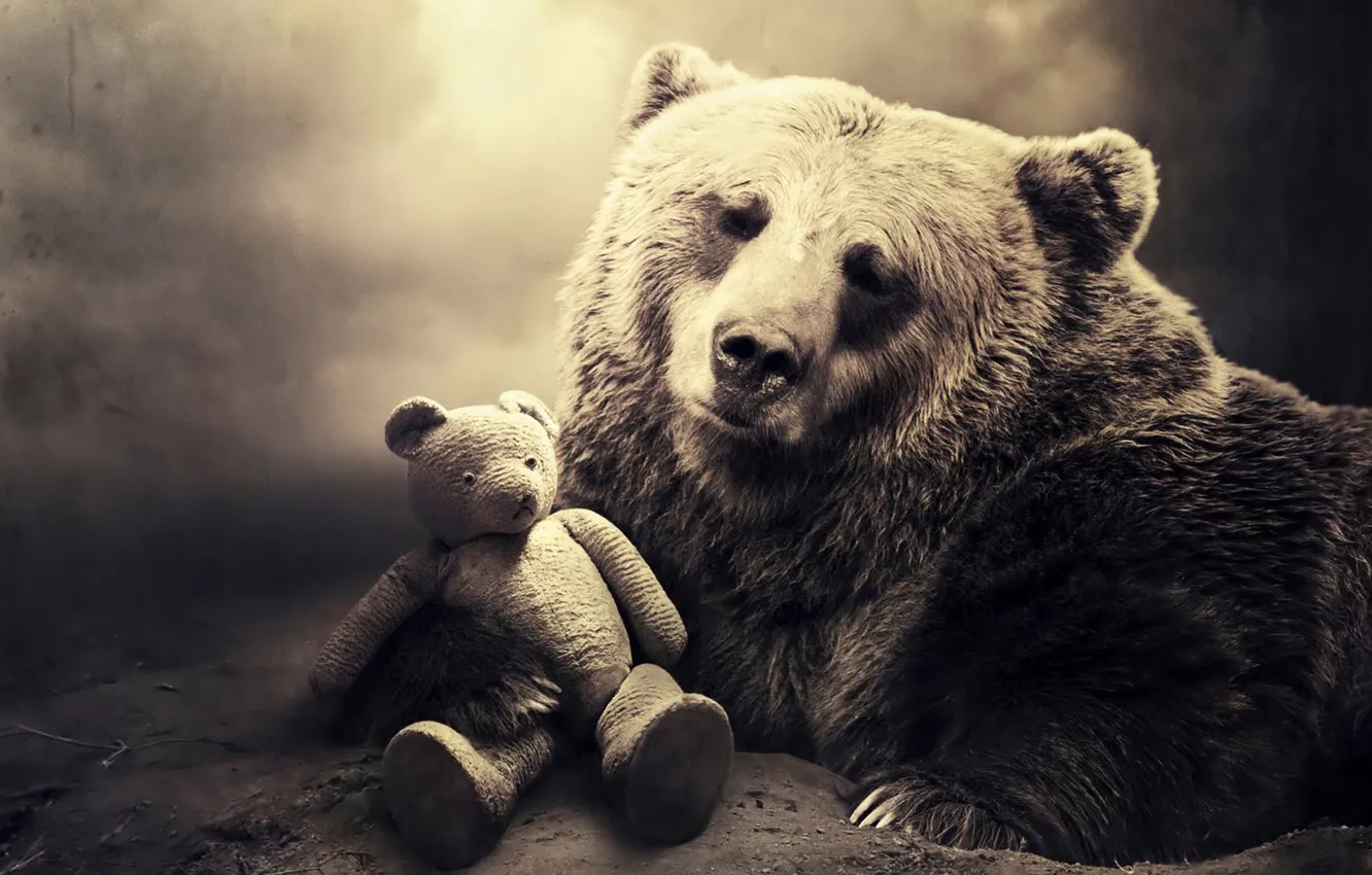 Фото обои грусть, взгляд, ветки, земля, игрушка, медведь