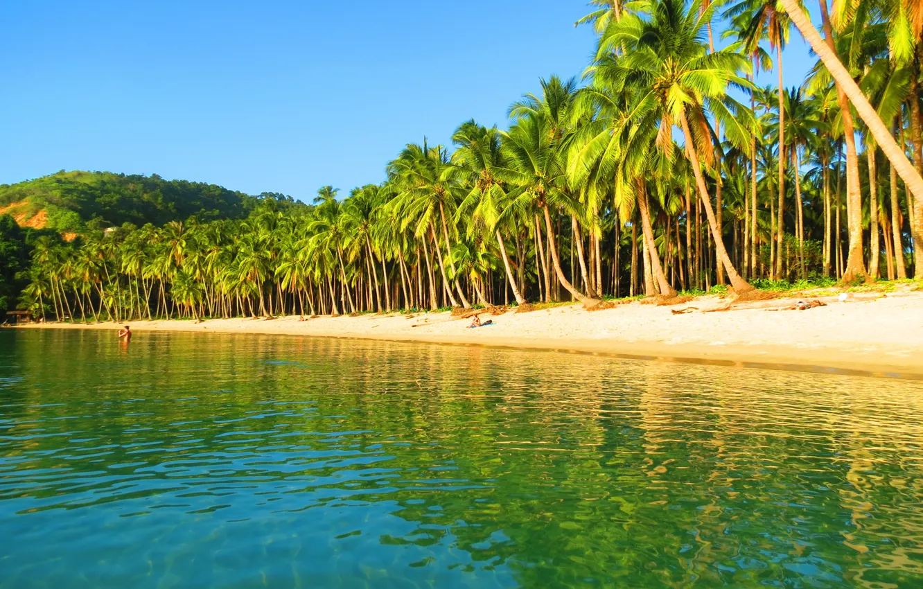 Фото обои пляж, пальмы, океан, Philippines, El Nido
