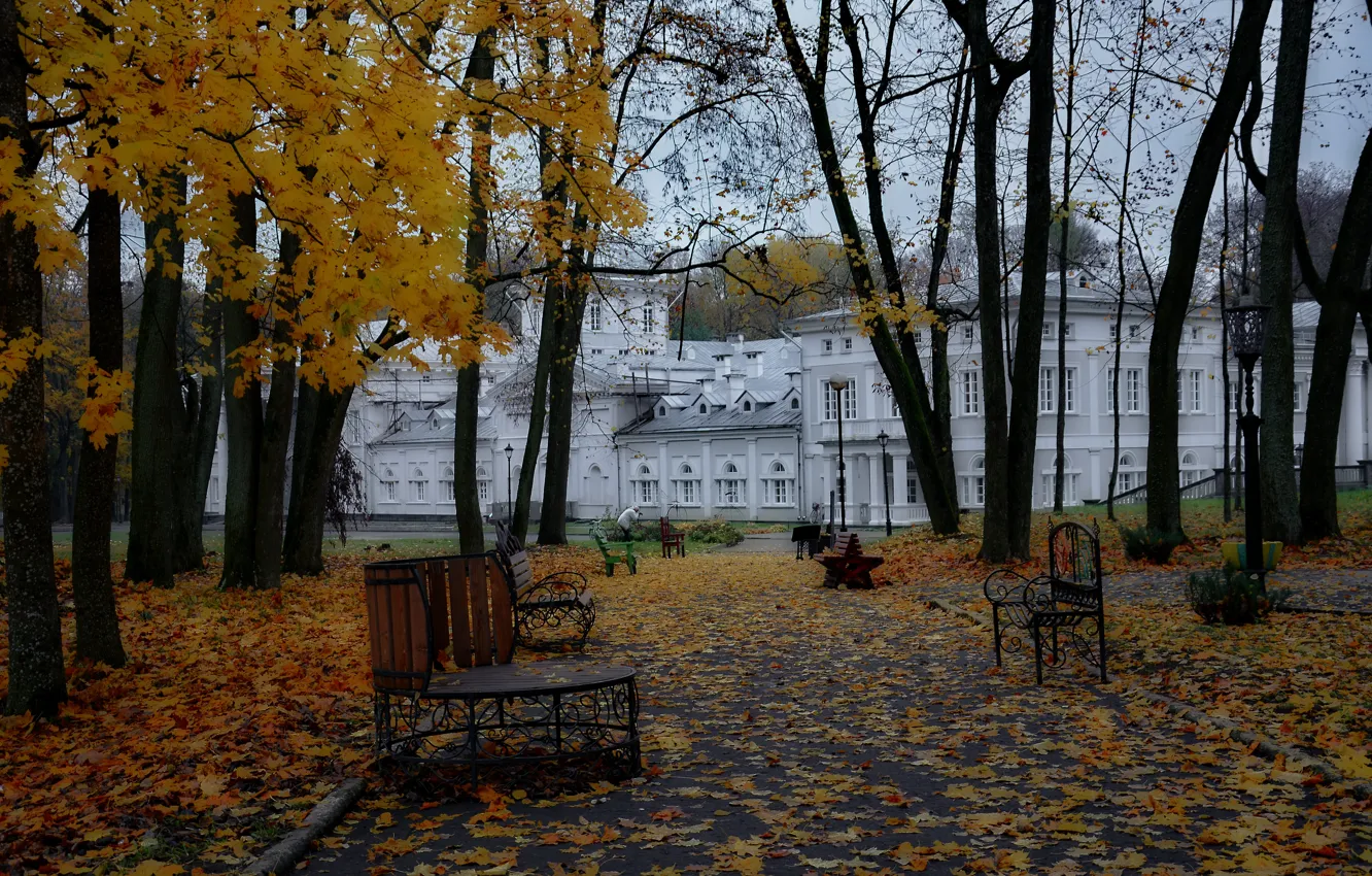 Фото обои осень, парк, архитектура, путешествие
