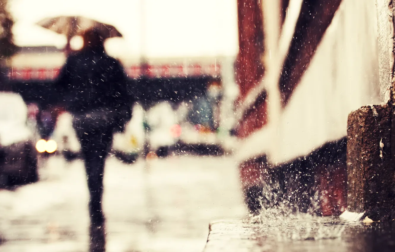 Фото обои капли, дождь, улица, силуэт, rain drops