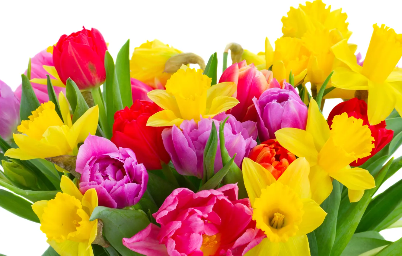 Фото обои весна, colorful, тюльпаны, 8 марта, flowers, beautiful, нарциссы, Tulips