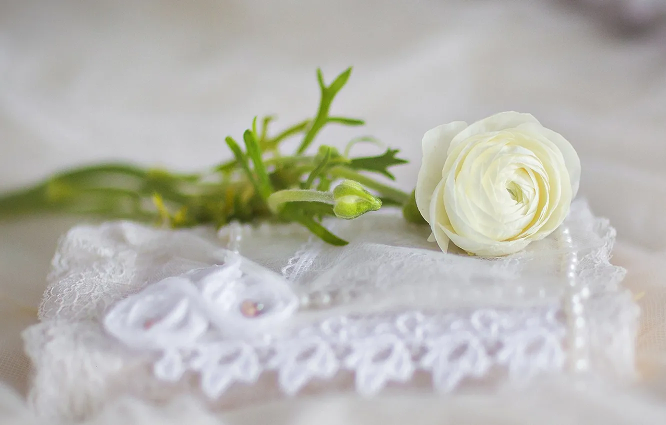Фото обои цветы, розы, свадьба