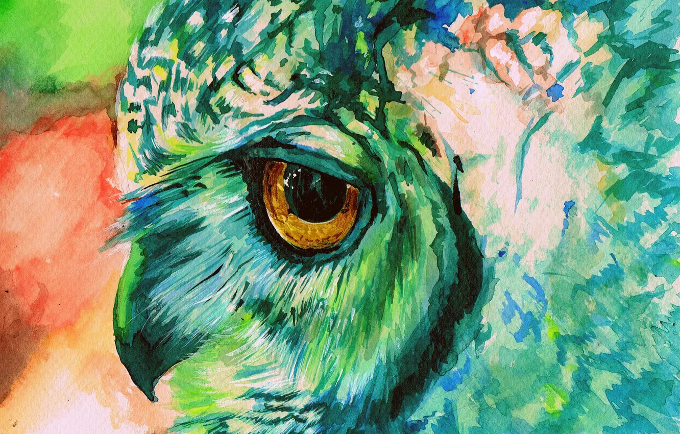 Фото обои сова, краски, рисунок