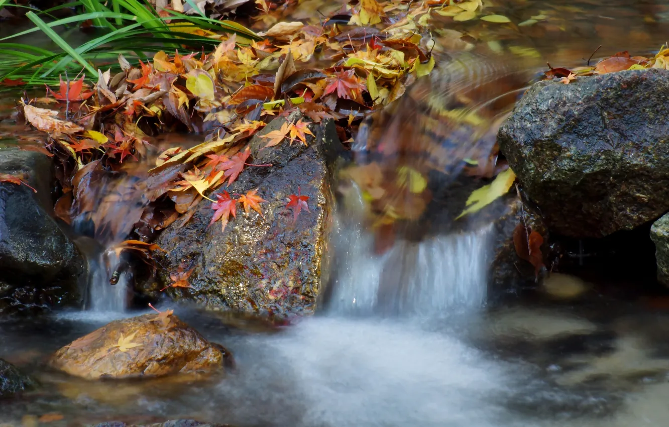 Фото обои осень, листья, река, камни, водопад