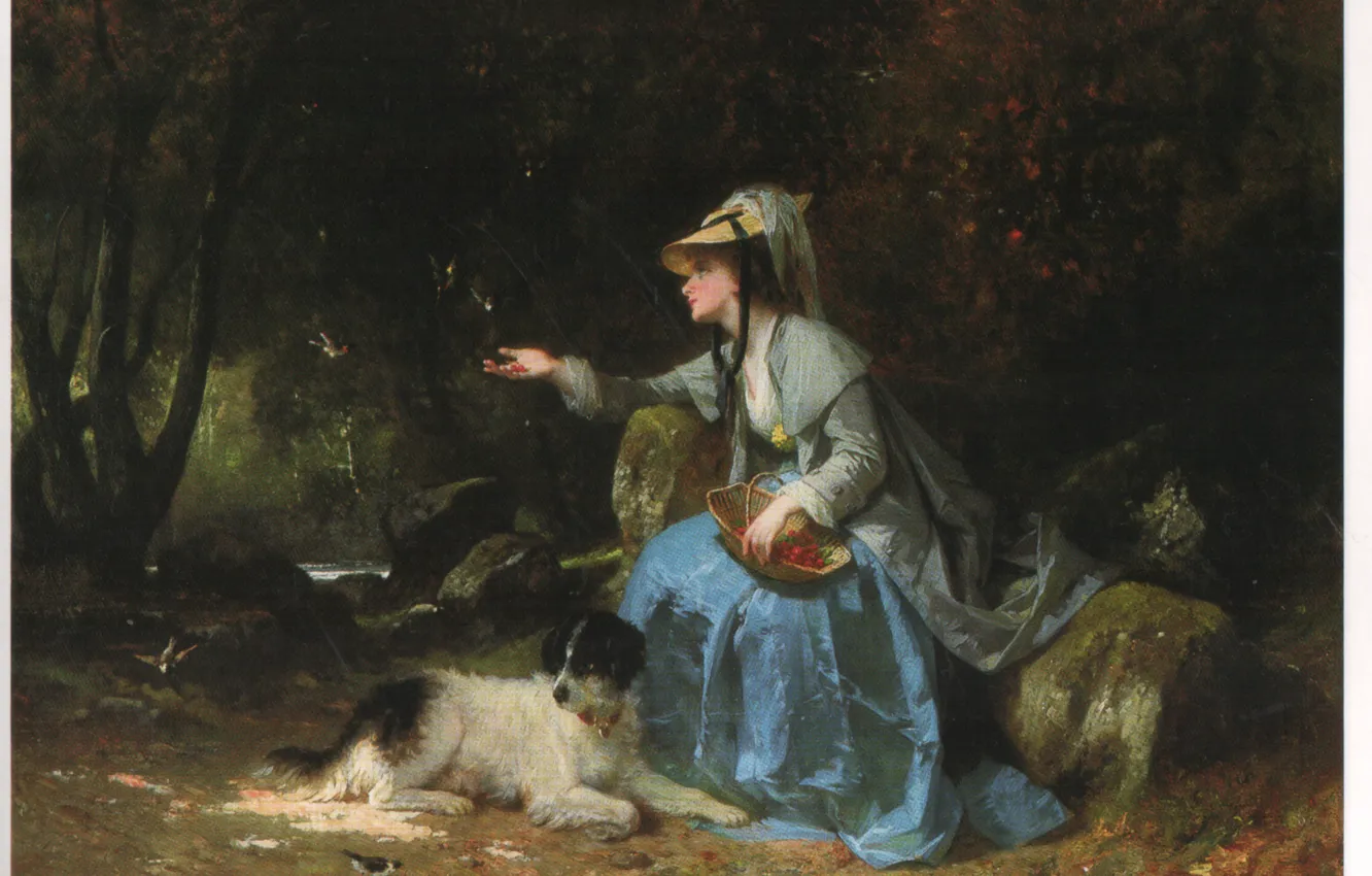 Фото обои корзина, собака, CALIX, женщина с ягодами, COMPTE