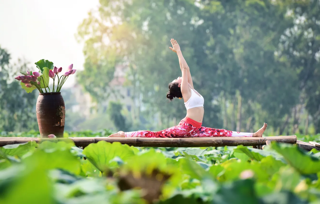 Фото обои девушка, природа, гимнастика, йога, азиатка