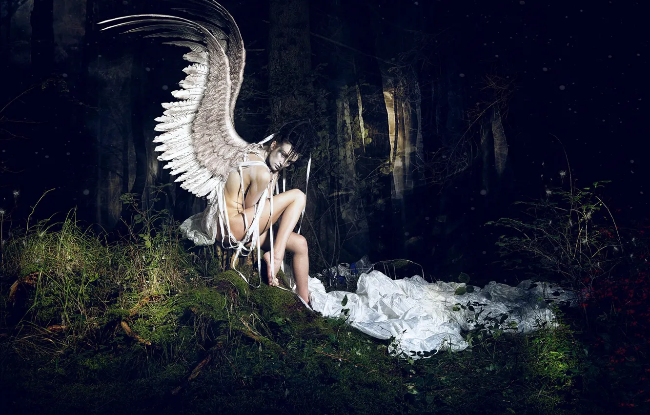 Фото обои лес, девушка, поза, крылья, ситуация, ангел, YOUR CHOICE