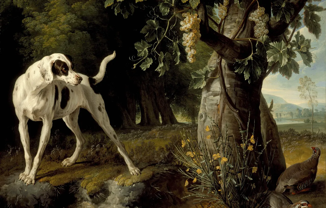 Фото обои пейзаж, дерево, собака, растения, куропатки, виноградная лоза, Alexandre Francois Desportes