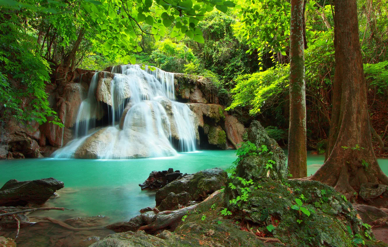 Фото обои лес, природа, река, водопад, красота, forest, river, nature