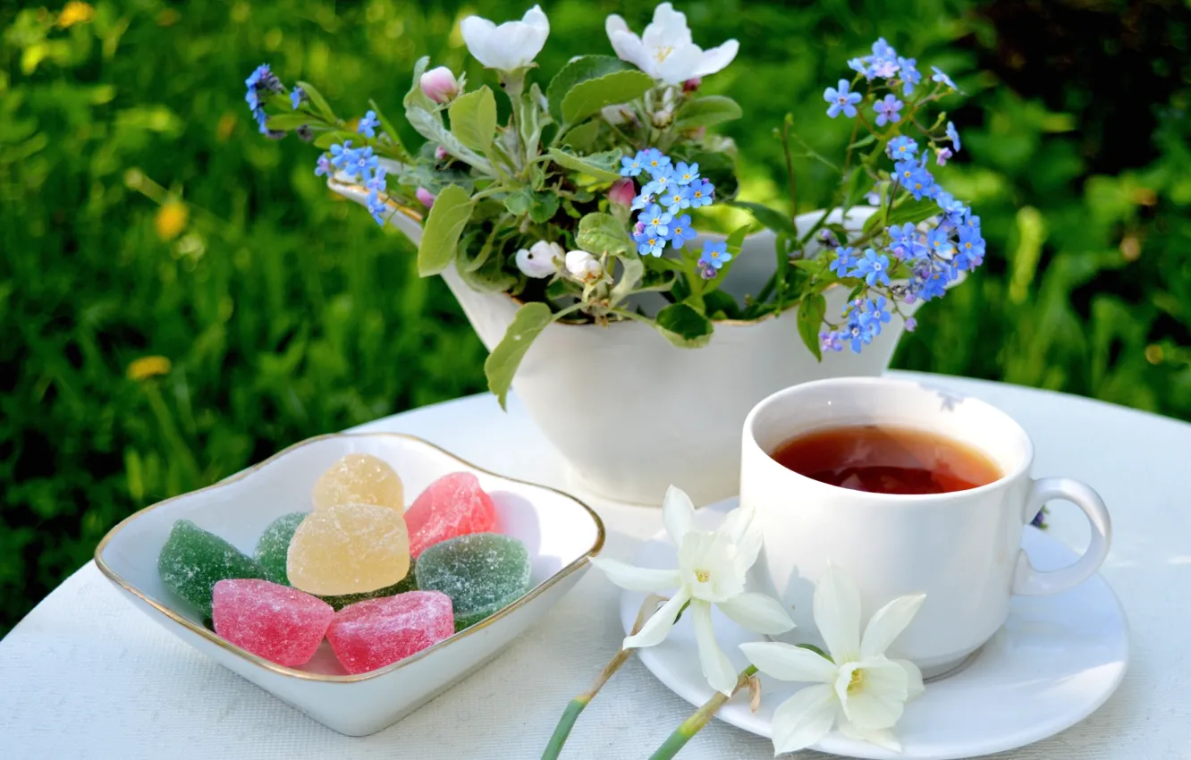 Фото обои цветы, чай, букет, яблоня, незабудки, нарцисс, мармелад