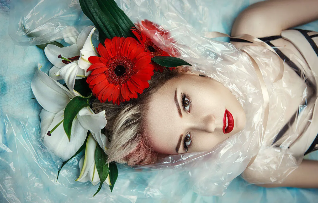 Фото обои взгляд, девушка, цветы, лицо, лилии, герберы, Katerina Klio