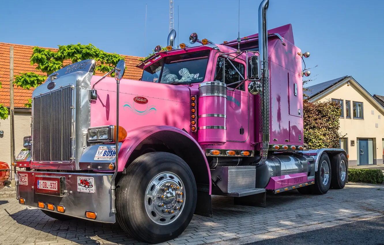 Фото обои white, tiger, pink, peterbilt