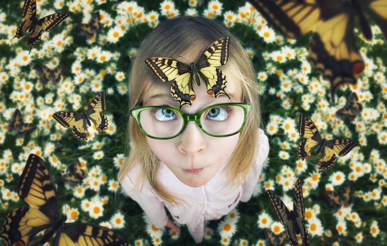 Фото обои лето, бабочки, ромашки, девочка, A touch of summer