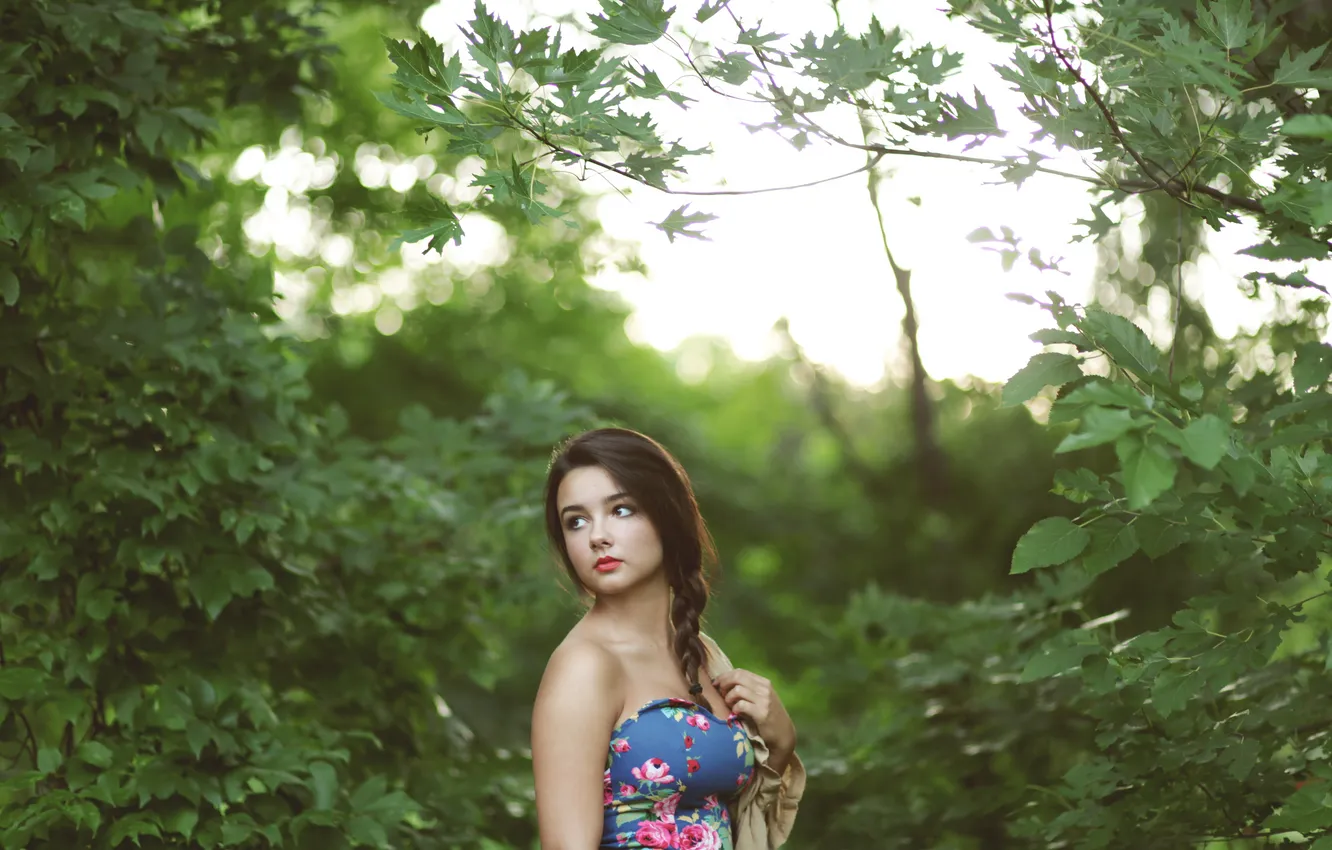 Фото обои лес, девушка, красивая, Katie JoAnne