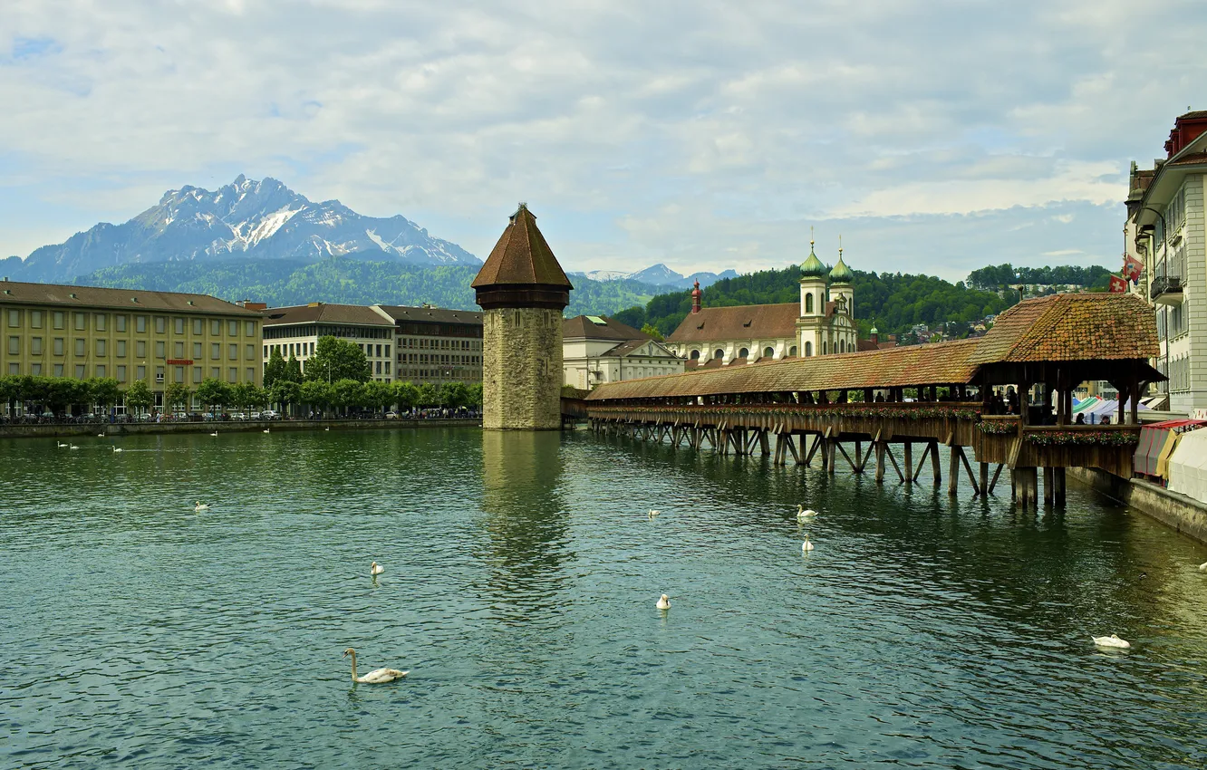 Фото обои небо, горы, река, дома, Швейцария, галерея, лебеди, Люцерн