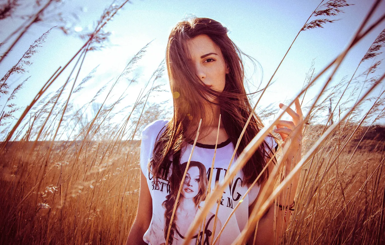 Фото обои поле, трава, девушка, солнце, макияж, футболка, прическа, шатенка