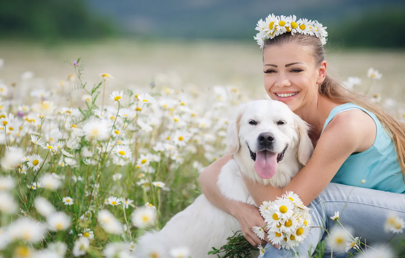 Фото обои девушка, цветы, улыбка, настроение, ромашки, собака, луг, друзья