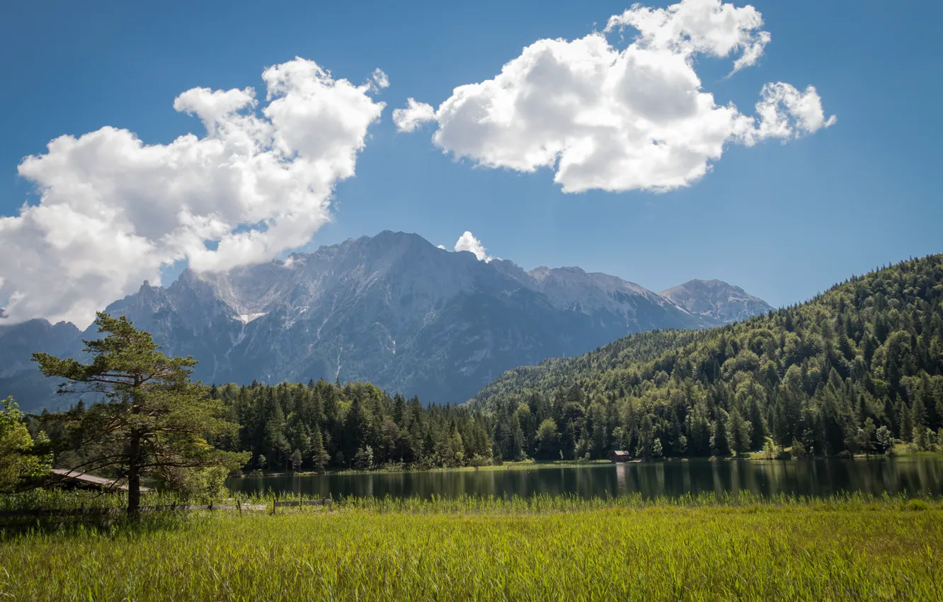 Фото обои лес, облака, горы, озеро, Германия, Бавария, Альпы, Germany