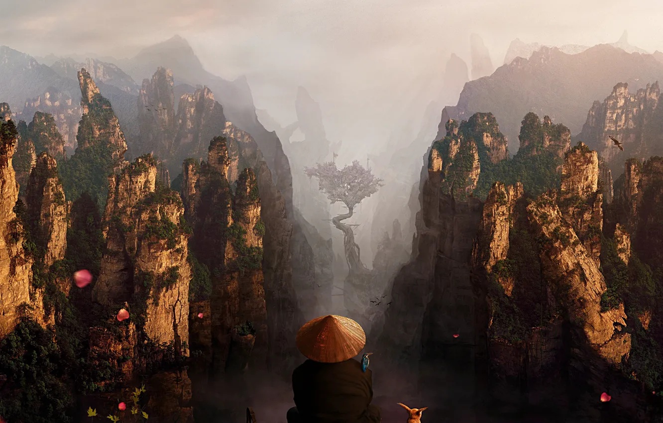 Фото обои туман, дерево, скалы, медитация, монах, ущелье, пропасть, путник