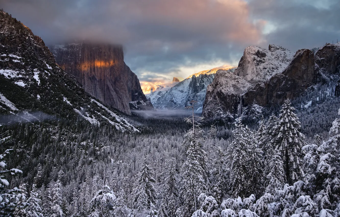 Фото обои зима, лес, деревья, долина, Калифорния, California, Национальный парк Йосемити, Yosemite National Park