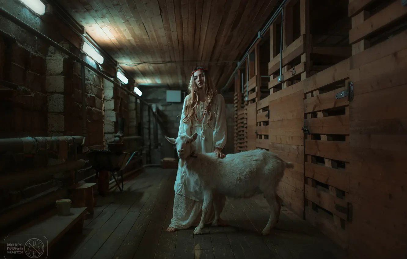 Фото обои девушка, коза, Дарья Билык