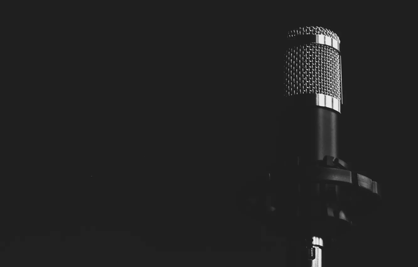 Фото обои black & white, микрофон, microphone, черно - белое