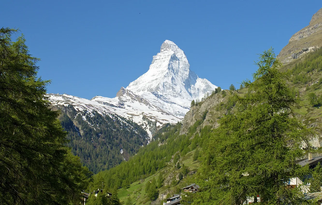 Фото обои снег, деревья, Швейцария, склон, Альпы, Италия, гора Маттерхорн