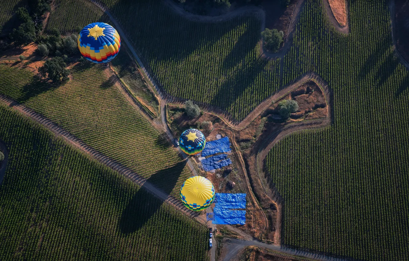 Фото обои поле, воздушные шары, дороги, тень, сельская местность, ферма, солнечный, экстремальный спорт