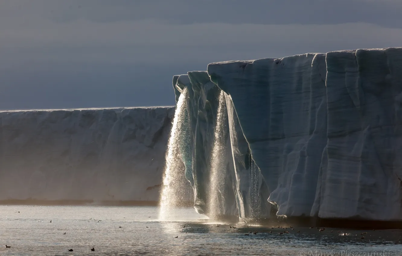 Фото обои вода, океан, ледник, айсберги