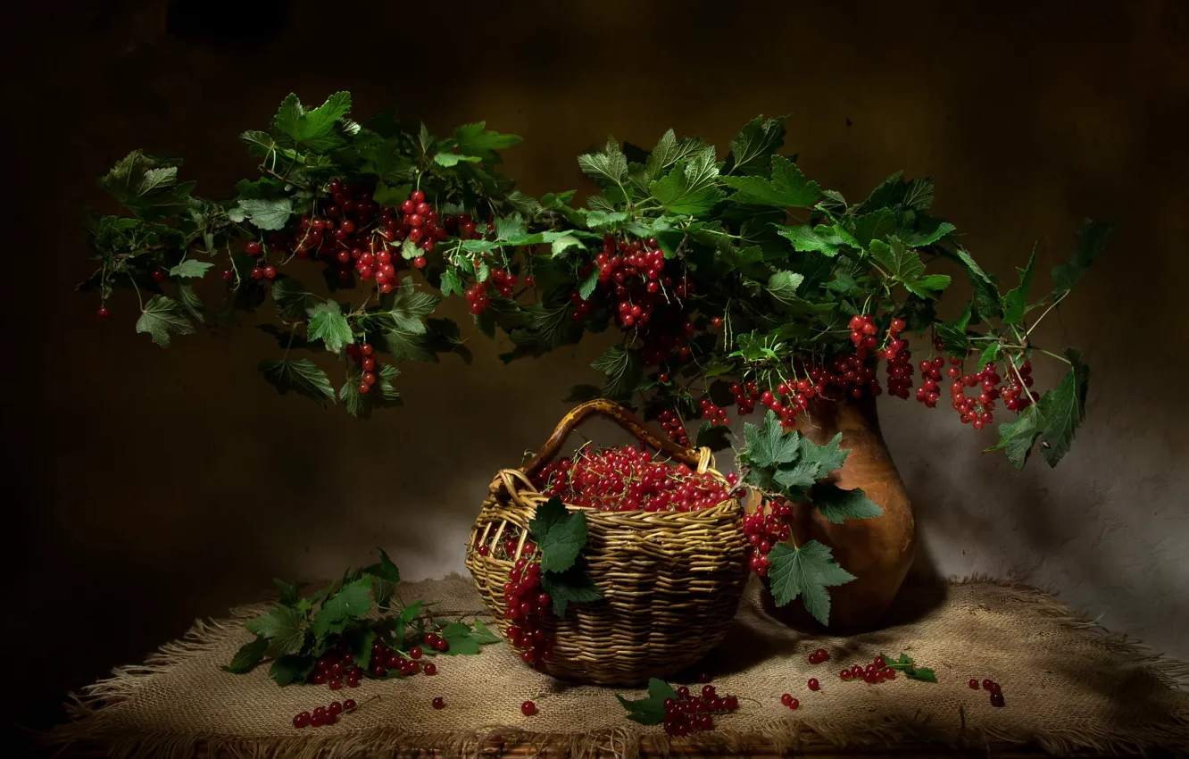 Фото обои листья, свет, ягоды, стол, букет, ветка, кувшин, натюрморт
