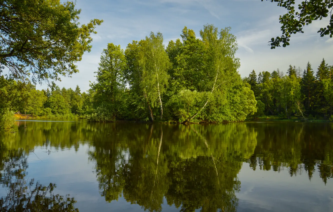 Фото обои Природа, Озеро, Деревья, Лето, Nature, Summer, Отражения, Lake