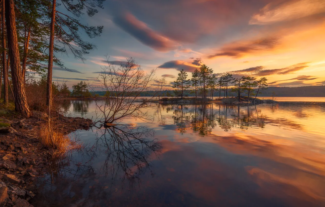 Фото обои лес, небо, закат, озеро, Норвегия, Norway, Ringerike, Ole Henrik Skjelstad