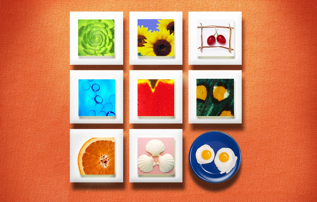 Фото обои стена, еда, текстура, квадраты