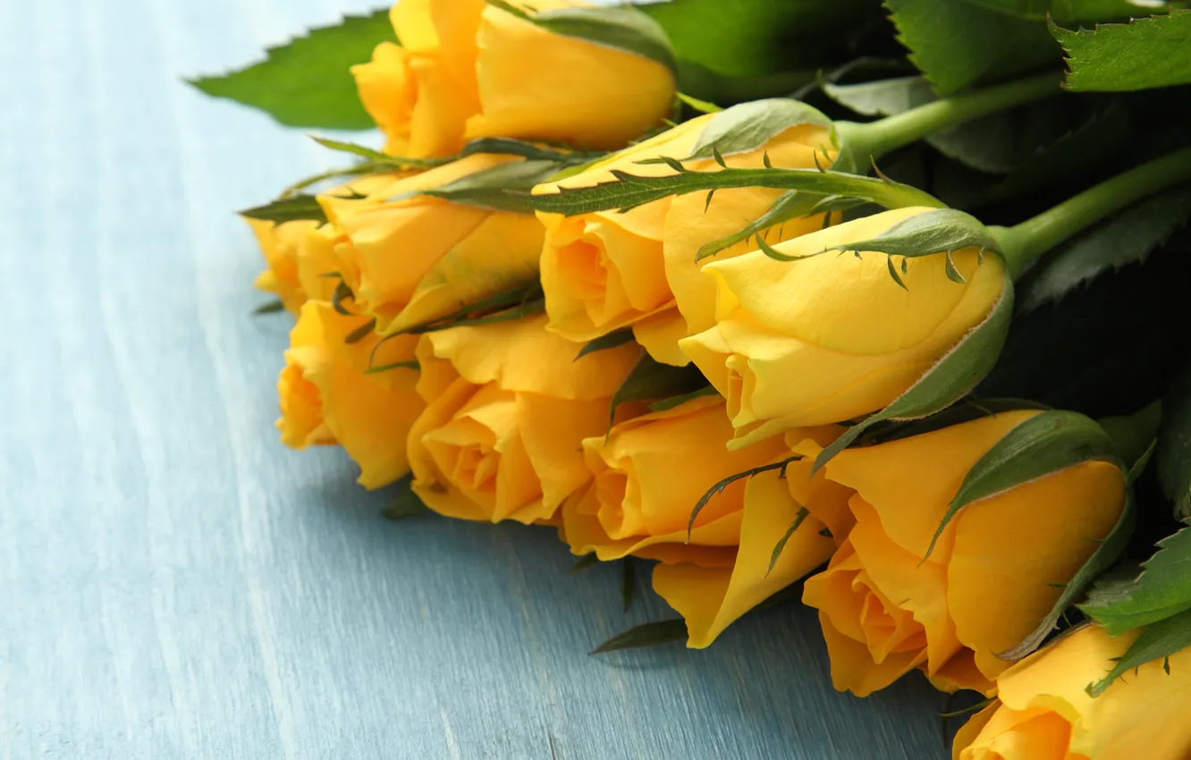 Фото обои фон, голубой, розы, букет, желтые, wood, Iryna Melnyk