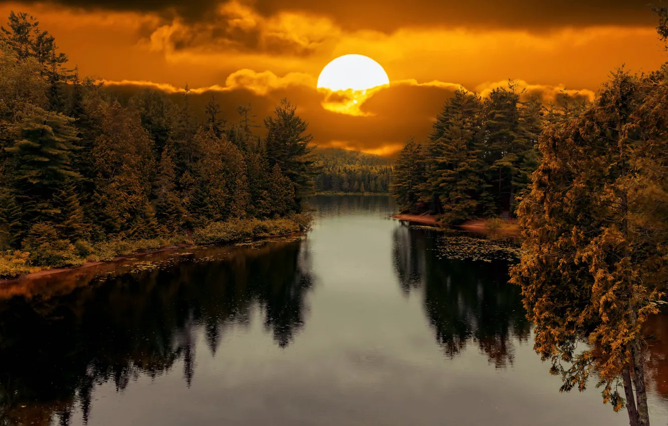 Фото обои лес, солнце, закат, отражение, берег, водоем