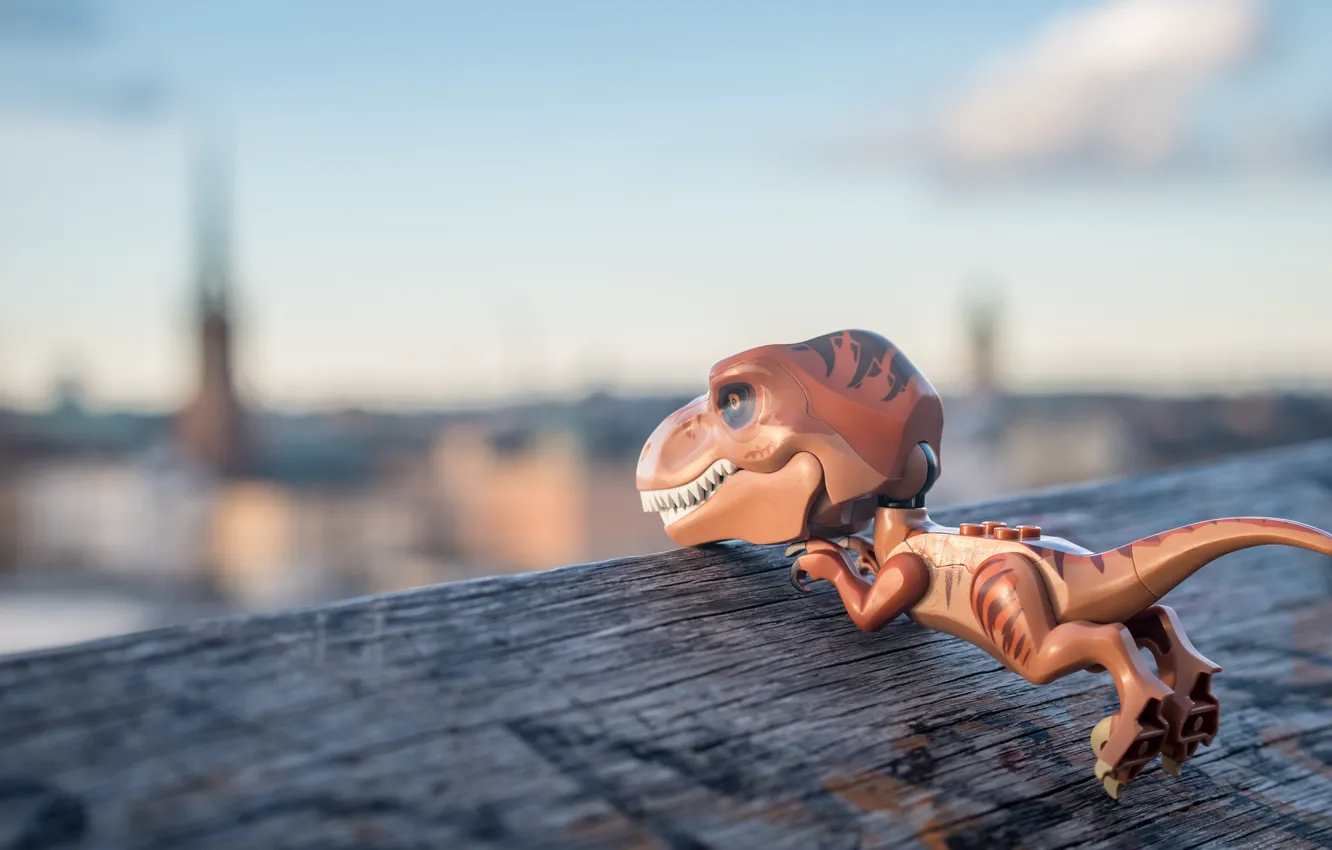 Фото обои игрушка, динозавр, t-rex